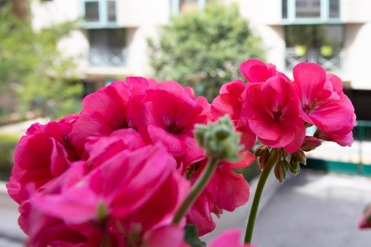Boutique Apartment Nice Center Beach Free Parking מראה חיצוני תמונה